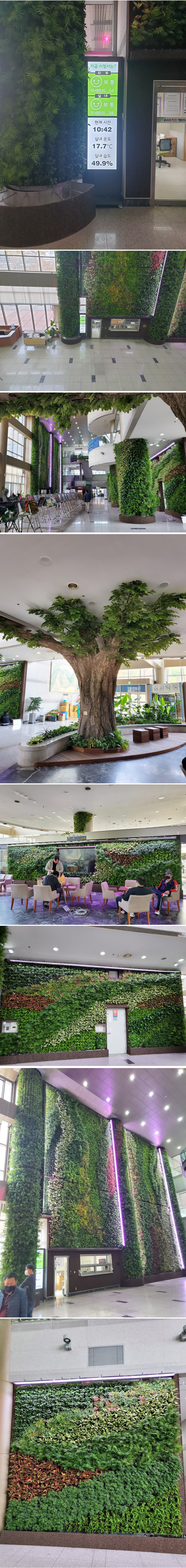 천안시청 실내 정원 공사 작업 내용_02.jpg