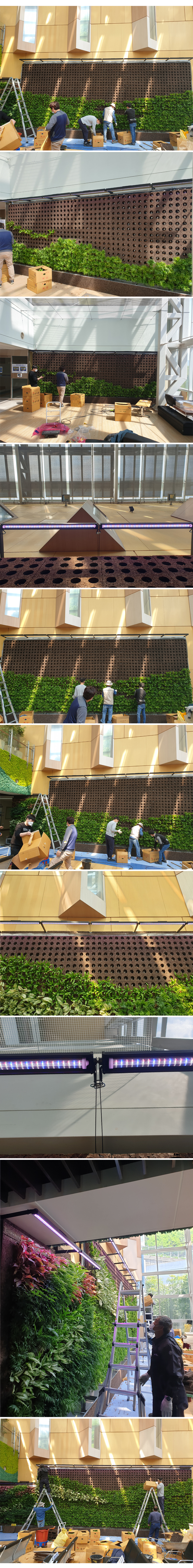 보라매병원 실내정원 2차 공사 작업 내용_01.jpg